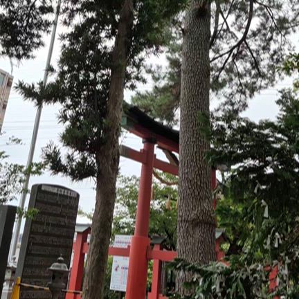 雨上がりの氷川神社で久々に聞いた気がするの記事動画