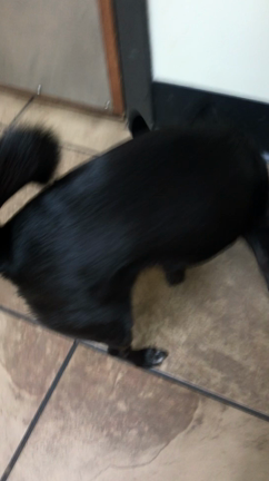 どうしたらいいんだろう。の記事動画