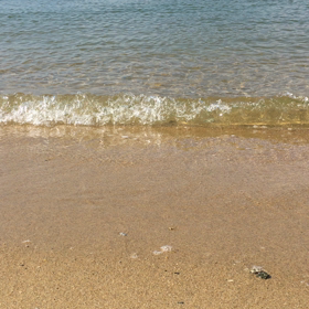 海の画像
