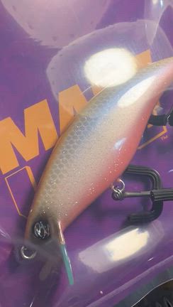HAMAオリカラ　昼間のワカサギ、HAMAパンダ　マートライン　mtc1、グルメ78の記事動画