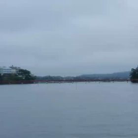 松島観光の画像