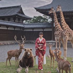 雨乞いシリーズの画像