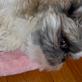 それでも愛を誓いますか？　第9話、最終回の画像