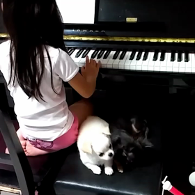 ピアノの画像