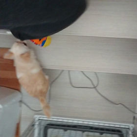 階段の画像