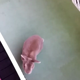 日曜日！の画像