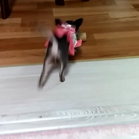 何でもの画像