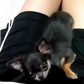 可愛い♥の画像