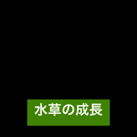 水槽スライドショー的なの画像