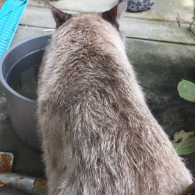 んっ！の画像