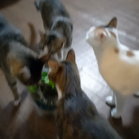 2021/07/02の画像
