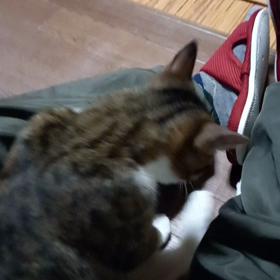 2021/01/19の画像
