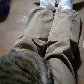 2021/08/13の画像