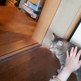 2021/04/27の画像