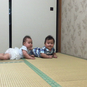  祝♡7カ月の画像