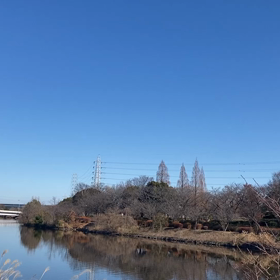こんな新年を迎えたことがあったろうかの画像