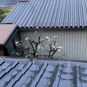 私のまわりは良い人ばかりの画像