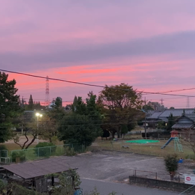さあ、今日は何をして楽しもうかの画像