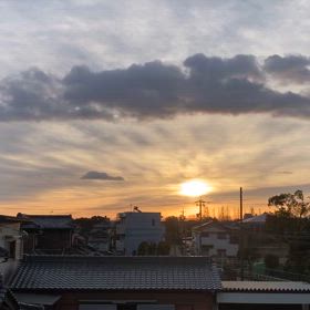 今日も良いだ、お日様浴びて笑顔で過ごしましょうの画像
