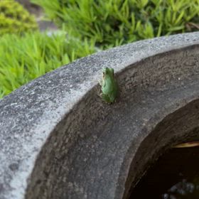 病気を経験して良かった／何故ならの画像