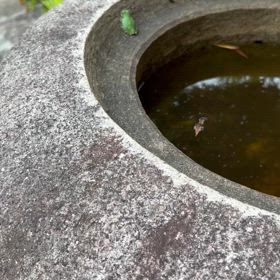 今日も、笑って生きよう！の画像