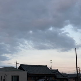 今日の楽しみを見つけようの画像
