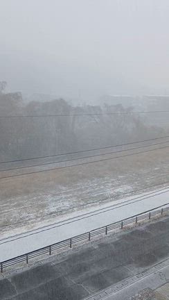雪が降っとる〜　気温がマイナスて…(￣▽￣;)の記事動画