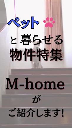 2024/10/15の記事動画