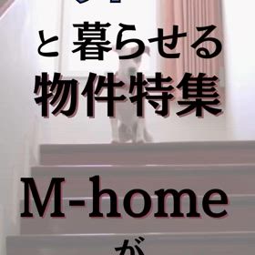 2024/10/15の画像