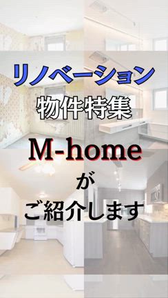 2024/10/17の記事動画