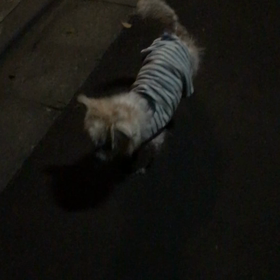 夜ンポ＆お風呂(^-^)の画像