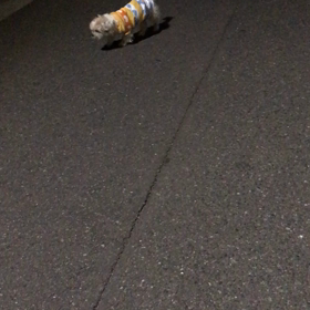 ありがとう。の画像