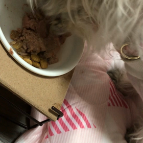ご飯のトレーから。の画像