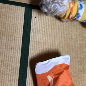 ぐるぐるぐるぐる。の画像