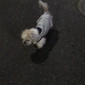 強  風〜。の画像