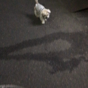 寄り道三昧〜(^-^)の画像