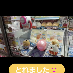 たまには楽しい♪の画像