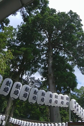 沈み鳥居と田村神社の万灯祭　吉祥花文字　万の記事動画