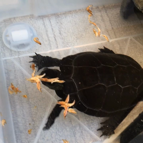 ☆休みもバタバタ☆の画像