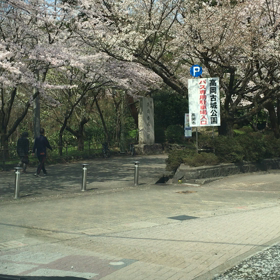 高岡古城公園の桜の画像