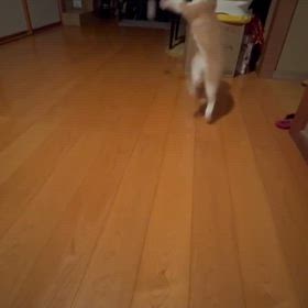 こんばんわ_(_^_)_の画像