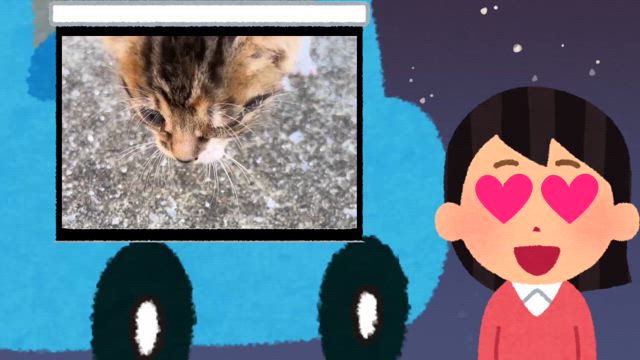 愛猫天ちゃんの脱走が教えてくれた現実創造の仕組み②の記事動画