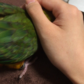 狭い場所が好きの画像