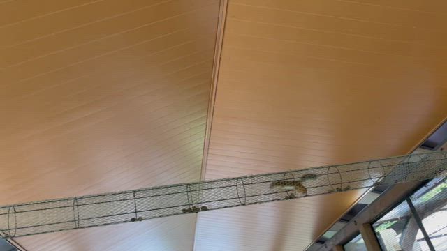 仙台うみの杜水族館と、#今日のおやつはこれの記事動画