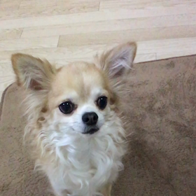 ナイスキャッチヽ(´▽｀)/の画像
