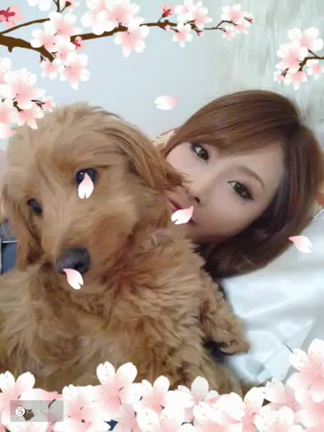 ご報告☆の記事動画