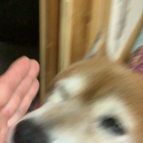 たまみ今日は、笑顔の画像