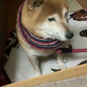 朝ごはんまちのたまみの画像