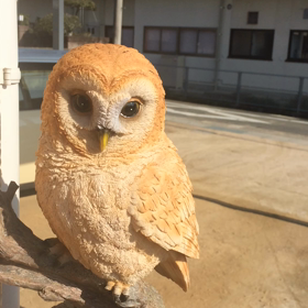 新年あけましておめでとうございますの画像