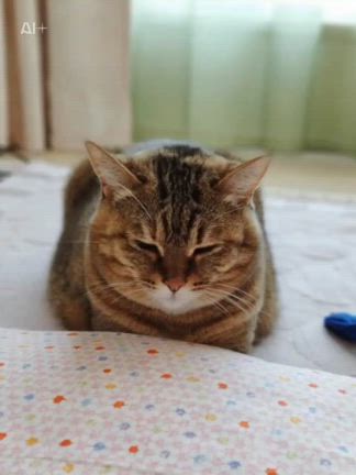ニコちゃ～ん、カムバ～ック！！の記事動画